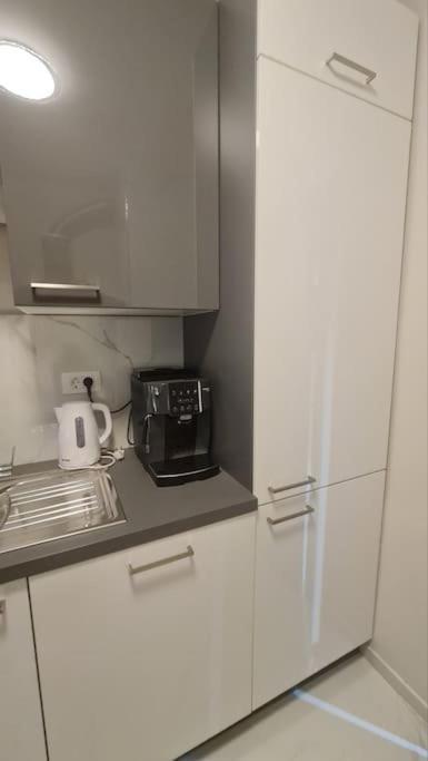 Mias Luxury Apartment Rijeka Exterior photo